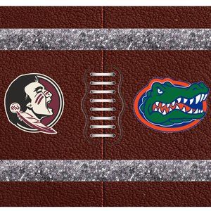 FL Gator VS FL Noles House Divided Football 20 oz Stainless steel tumbler NWT